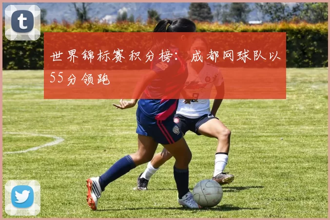 世界锦标赛积分榜：成都网球队以55分领跑