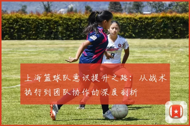 上海篮球队意识提升之路：从战术执行到团队协作的深度剖析