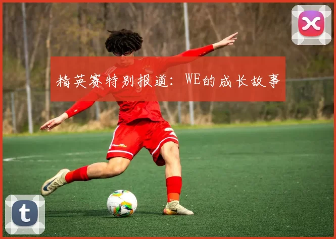 精英赛特别报道：WE的成长故事