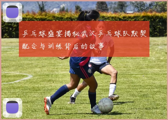 乒乓球盛宴揭秘武汉乒乓球队默契配合与训练背后的故事