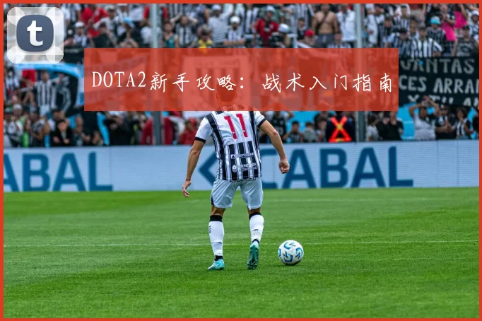 DOTA2新手攻略：战术入门指南